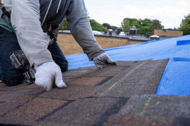 Best Local Roofing Companies  in Zilwaukee, MI