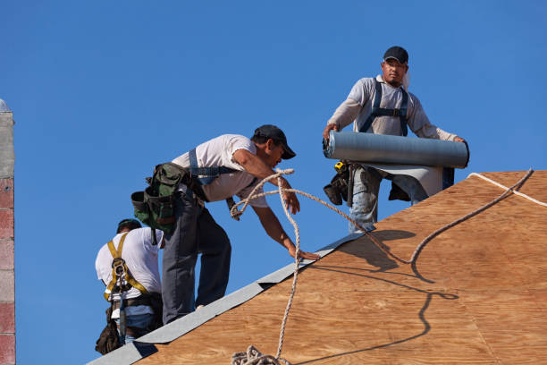 Best Storm Damage Roof Repair  in Zilwaukee, MI
