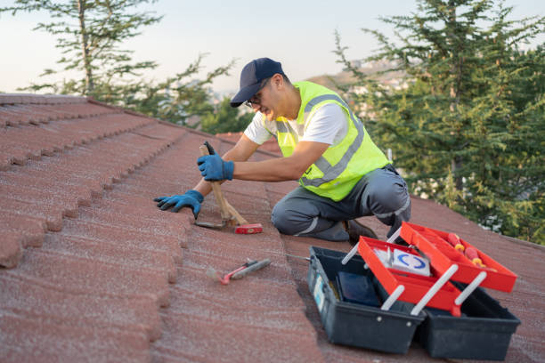 Roof Gutter Cleaning in Zilwaukee, MI